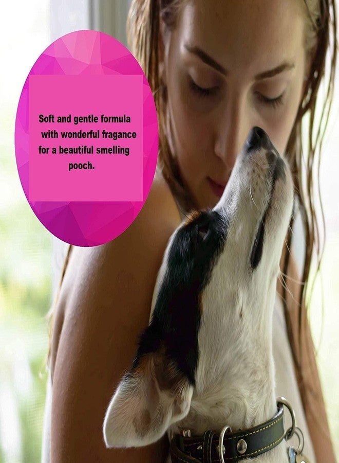 DOGTOWN Oh My Dog Oatmeal & Itch Relief Ultimate Pet Shampoo - Paraben Free, (1000ML, Berry and Coconut) - Image 5